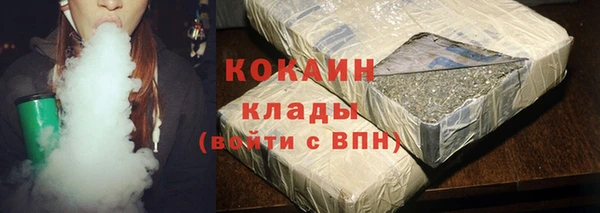 кокс Алексин