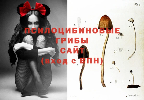 марки nbome Алексеевка