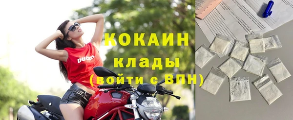 кокс Алексин
